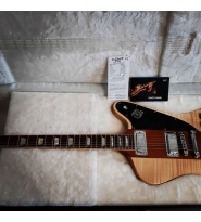 Gibson Firebird V Guitar of The Week #24 2007